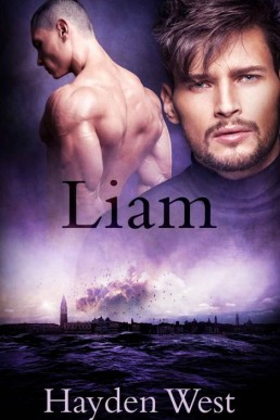 Liam (Brothers Book 4) (7690)