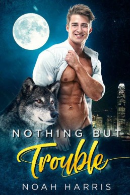 Nothing But Trouble (Wild Hearts B (12582)