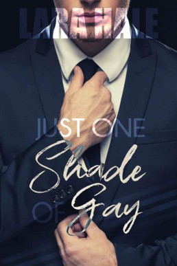 Just One Shade Of Gay (9411)