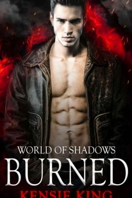 Burned World of Shadows