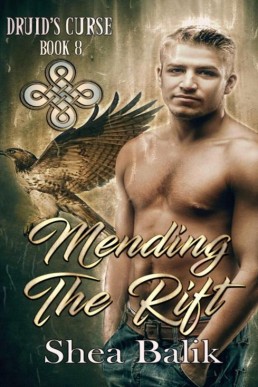 Mending the Rift (Druid's Curse 8)