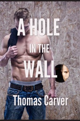 A Hole in the Wall (14838)