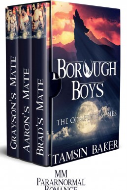 The Borough Boys: The Complete Collection