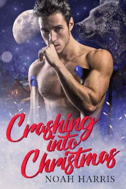 Crashing Into Christmas_ A Christm (11346)
