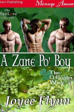 A Zane Po' Boy [The O'Hagan Way 3] (5497)