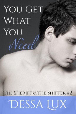 You Get What You Need (The Sheriff (4921)