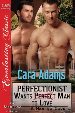 Perfectionist Wants Perfect Man to (953)