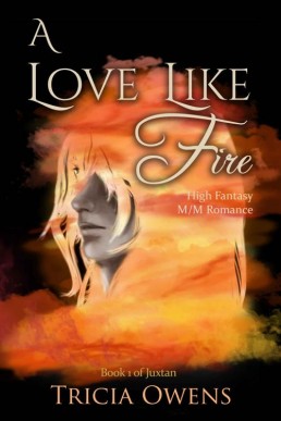 A Love Like Fire_ High Fantasy M_M (12190)