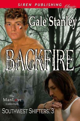 Stanley, Gale - Backfire [Southwest (5429)