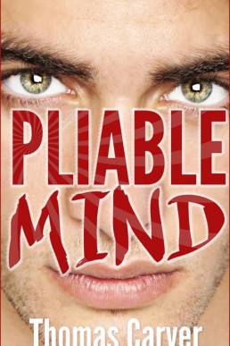 Pliable Mind (14787)