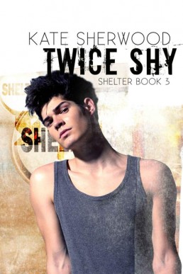 Twice Shy (Shelter Book 3)