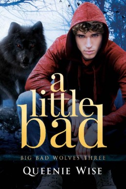 a Little Bad (Big Bad Wolves Book (13495)