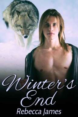 Winter's End (Angel Hills Series #3)