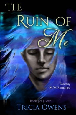 The Ruin of Me_ Fantasy M_M Romanc (12188)