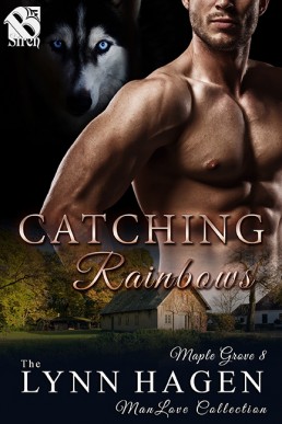 Catching Rainbows (7806)