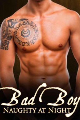 Bad Boy (Naughty at Night #1) (6388)