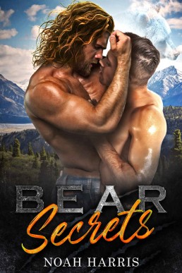 Bear Secrets (11343)