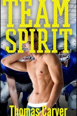 Team Spirit (14814)