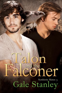 Talon and the Falconer 3 (5380)