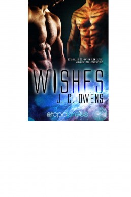 Wishes (5822)