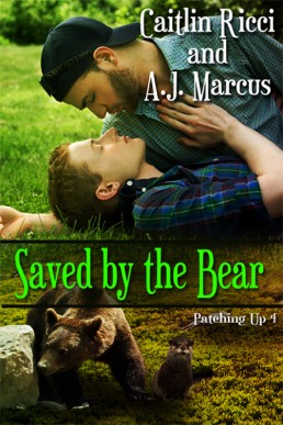Saved By The Bear (Patching Up 4) (966)