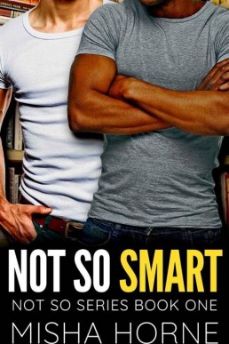 Not So Smart (Not So Series Book 1) (14682)