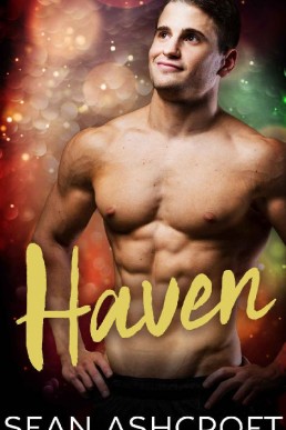 Haven (Wild at Heart Book 3) (13641)