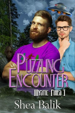 Puzzling Encounters (Mystic Pines (13735)