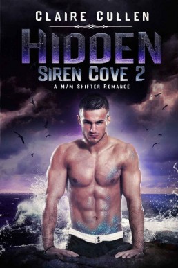 Hidden (Siren Cove Book 2) (2989)
