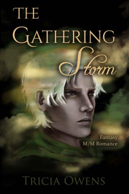 The Gathering Storm_ Fantasy M_M R (12189)