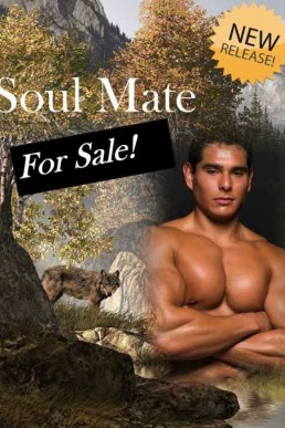 Soul Mate for Sale (The Omega Aucti (7623)