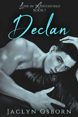 Declan (Love in Addersfield Book 1) (6337)