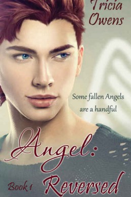 Angel_ Reversed (A_R Earth 1) (12181)
