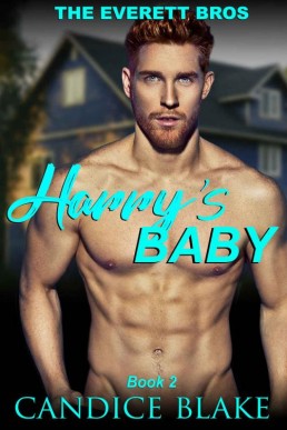 Harry's Baby (The Everett Bros Book (4767)