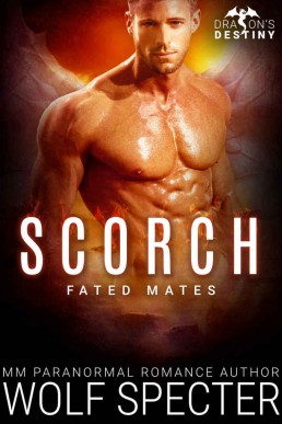 Scorch (12281)