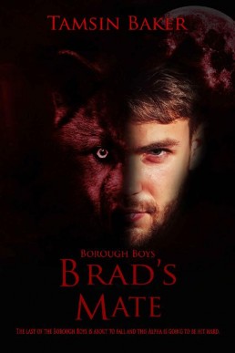 Brad's Mate_ M_M werewolf erotic r (12588)