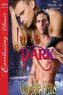 Leap in the Dark [The Moonlight Bre (5377)
