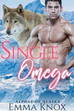 Single Omega_ M_M Shifter Mpreg Rom (3231)