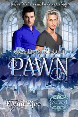 Pawn (8051)