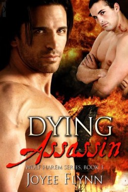 Dying Assassin[Wolf Harem 3 ] (5513)