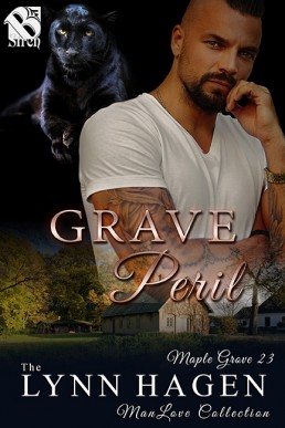 Grave Peril (7787)