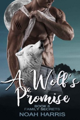 A Wolf's Promise_ A Gay Shifter Ro (11334)