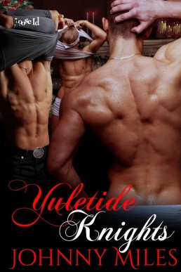 Yuletide Knights (7736)