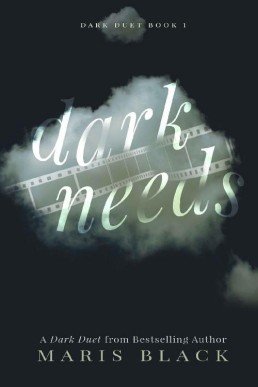 Dark Needs (13693)
