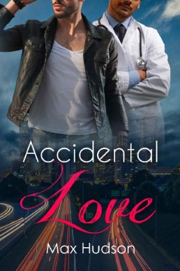 Accidental Love (10971)