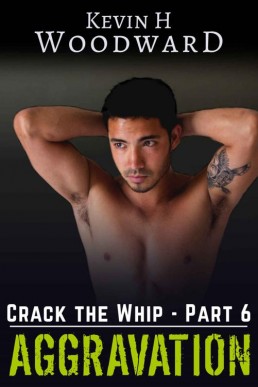 Aggravation (Crack the Whip Book 6) (9073)