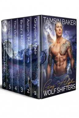 Gay Alpha Wolf Shifters_ Steamy Pa (12586)