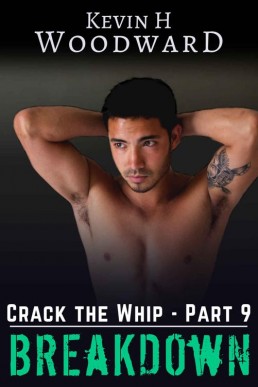 Breakdown (Crack the Whip Book 9) (9076)