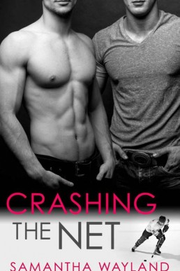 Crashing the Net (Crashing Book 1)