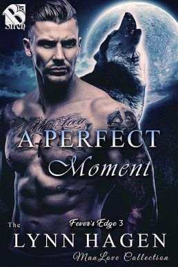 A Perfect Moment (6107)